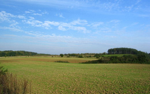 457551 (a): :1680x1050